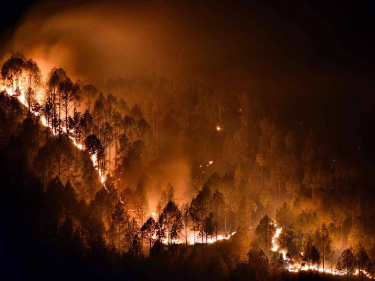 Uttarakhand Forest Fire : जंगलों में फिर भड़की आग,अब तक 1600 हेक्टेयर क्षेत्र को नुकसान,6 लोगों की मौत, 5 घायल