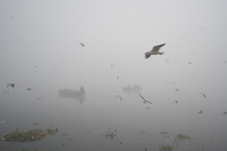 Delhi Weather: दिल्ली में छाया घना कोहरा, कम विजिबिलिटी के चलते हवाई यातायात प्रभावित, कई फ्लाइट के संचालन में देरी