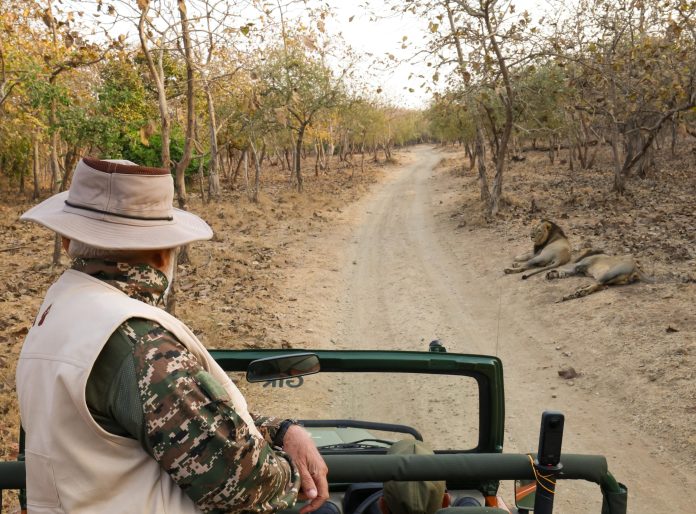 PM Modi Lion Safari