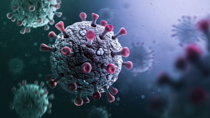 Corona Virus Update