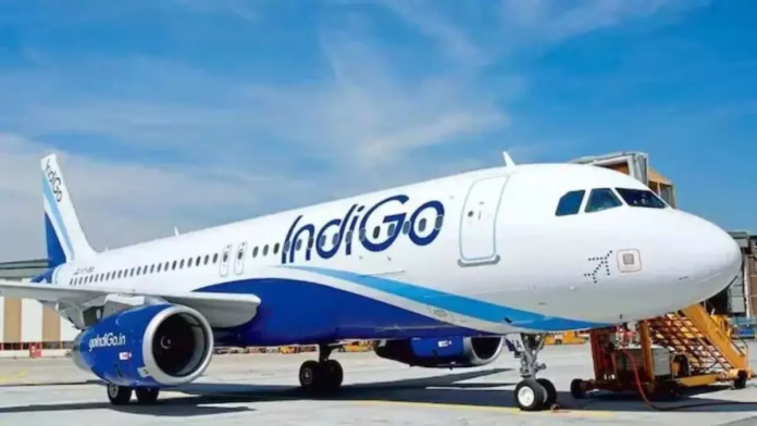 Indigo Flight returned