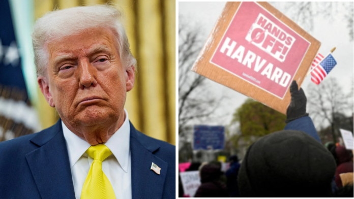 Harvard University vs Donald Trump