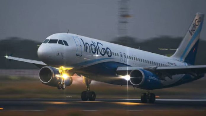 indigo-1