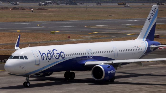 Indigo-1