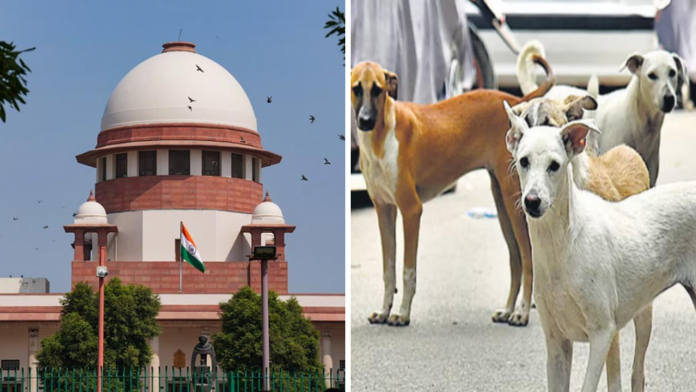 Mamta - 2025-10-31T125404.453