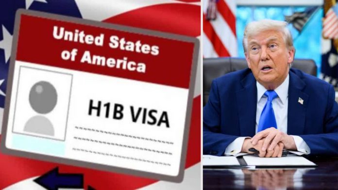 H-1B visa