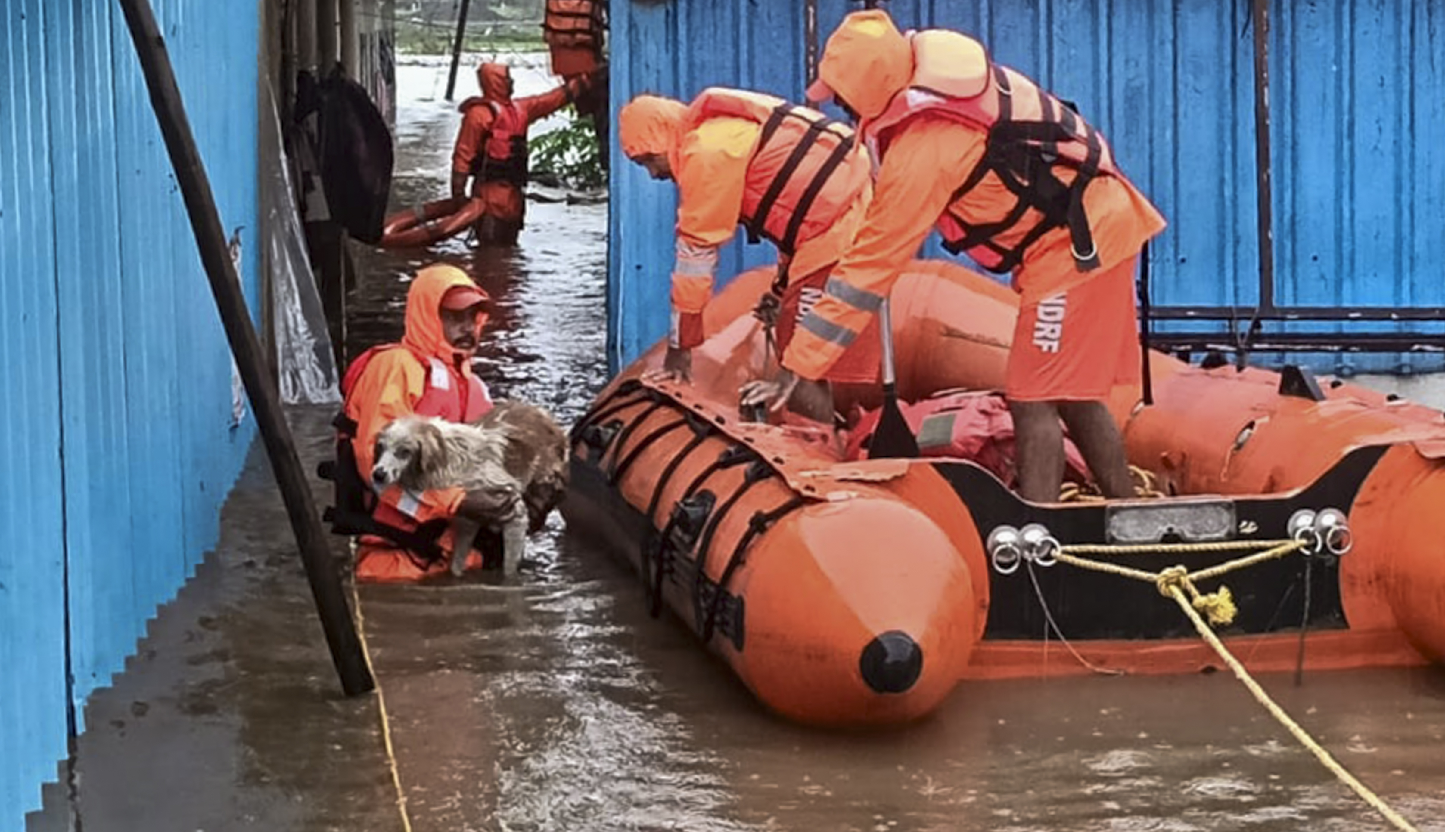 Mumbai Rains: मुंबई समेत महाराष्ट्र में बारिश का कहर, नासिक में बादल फटने का अलर्ट, स्कूल-कॉलेज बंद