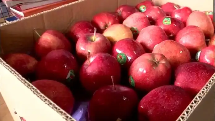 Boycott Turkish apple